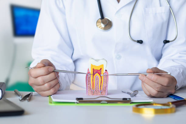 Best Pediatric Emergency Dentist in Jonesville, VA